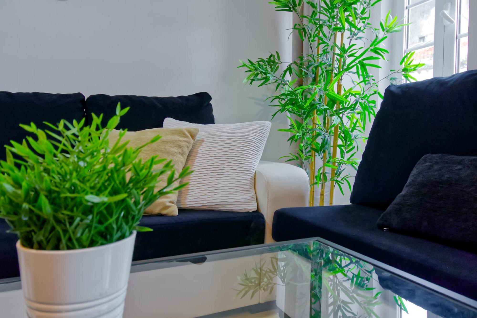 Apartment Beautiful And Spacious Flat In The Center Lissabon